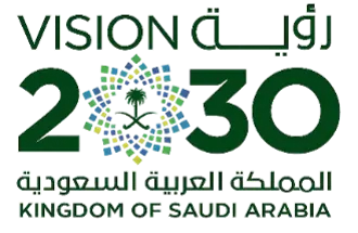 vision 2030 v2